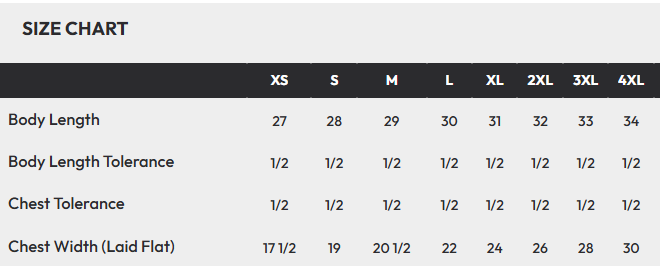 HOLMDEL FOOTBALL Group 3 STATE CHAMPS T-shirt