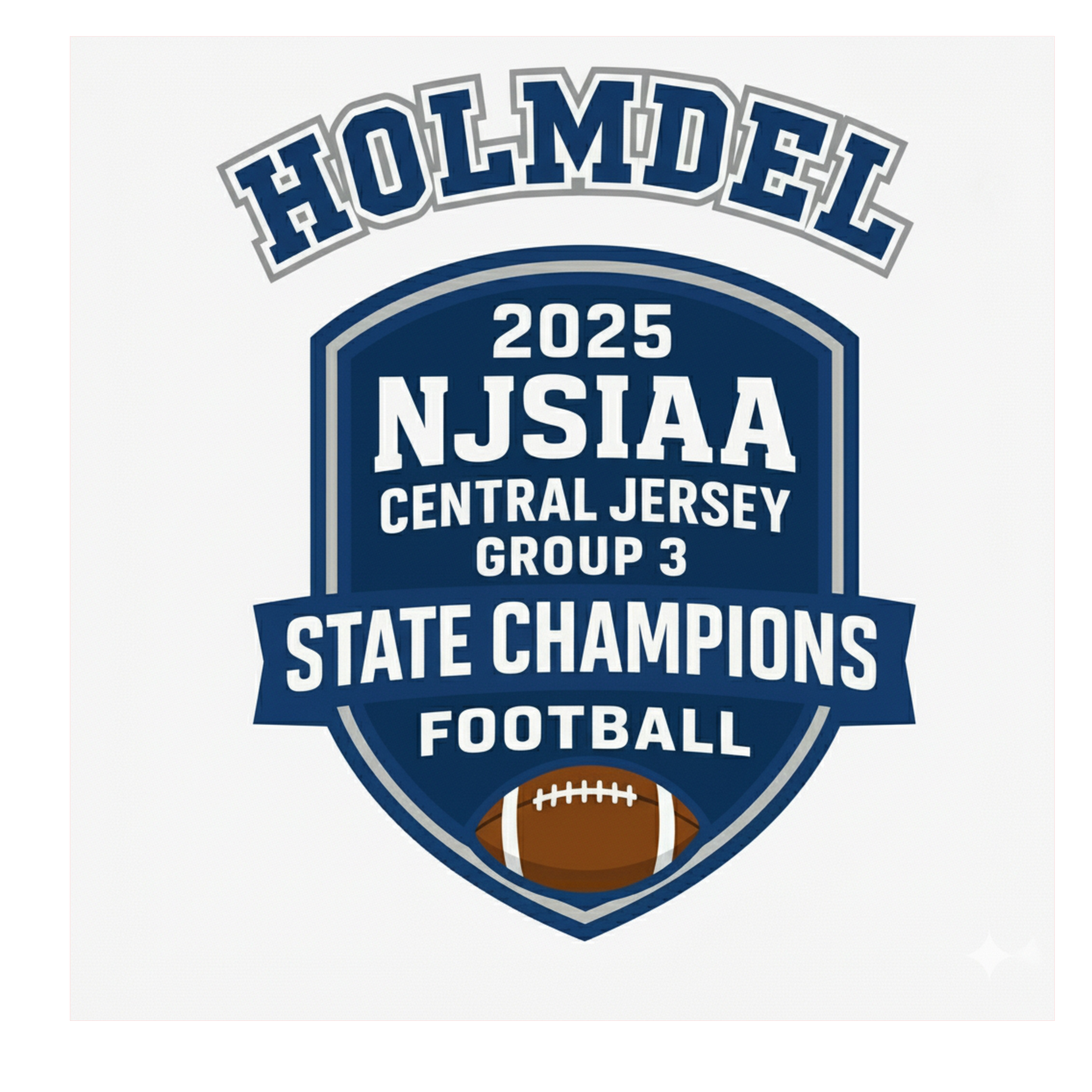 HOLMDEL FOOTBALL Group 3 STATE CHAMPS T-shirt